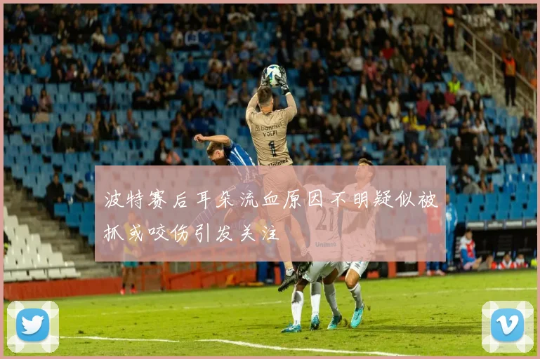 波特赛后耳朵流血原因不明疑似被抓或咬伤引发关注