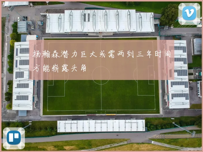 杨瀚森潜力巨大或需两到三年时间方能崭露头角